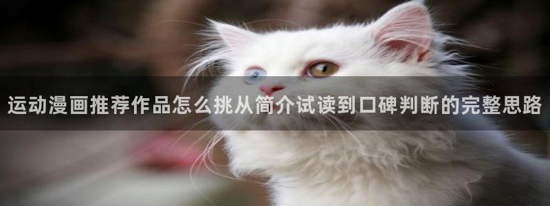 国漫推荐:运动漫画推荐作品怎么挑从简介试读到口碑判断的完整思路