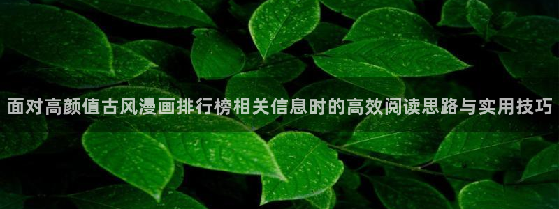 漫画屋:面对高颜值古风漫画排行榜相关信息时的高效阅读思路与实用技巧