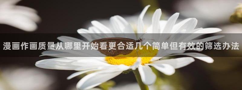系统漫画:漫画作画质量从哪里开始看更合适几个简单但有效的筛选办法
