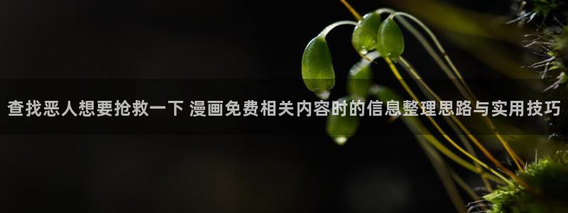哔哩漫画:查找恶人想要抢救一下 漫画免费相关内容时的信息整理思路与实用技巧