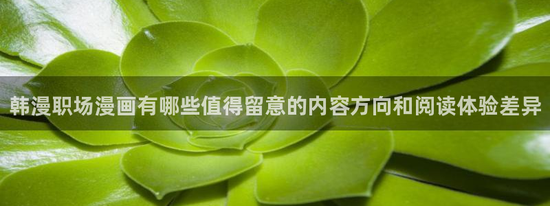 漫画官网:韩漫职场漫画有哪些值得留意的内容方向和阅读体验差异